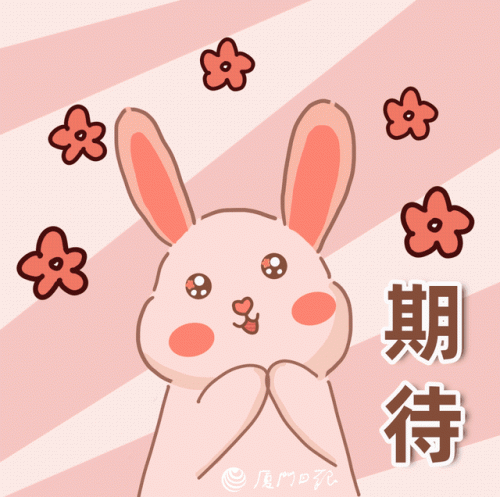 厦门公园排名前十(厦门中山公园)插图