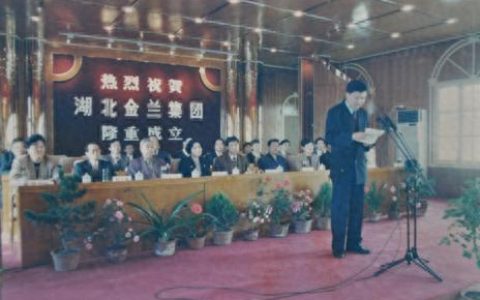 金兰黄金排名前十(金兰一口价黄金)
