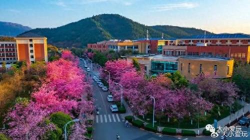 最有味道的大学排名前十(心理学排名前十的大学)插图55