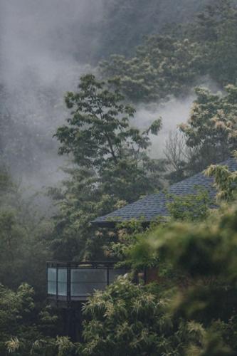 杏林榻榻米排名前十(和室榻榻米十大排名)插图45