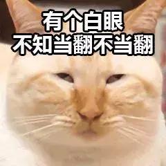 天龙八部扎龙(天龙八部)插图3