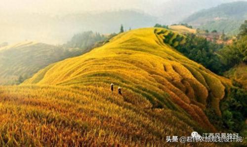 崇义特产排名前十(崇义旅游景点大全)插图10