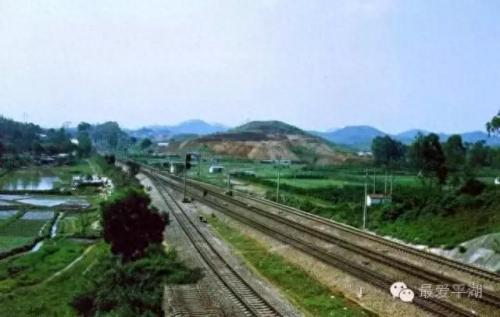 深圳龙岗区平湖镇(深圳龙岗平湖杀人案)插图12