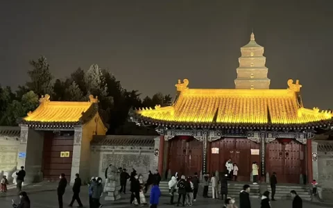 西安汽车陪练(陪练车一小时多少钱)