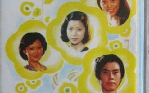 黄梅戏歌曲(黄梅100首歌曲)