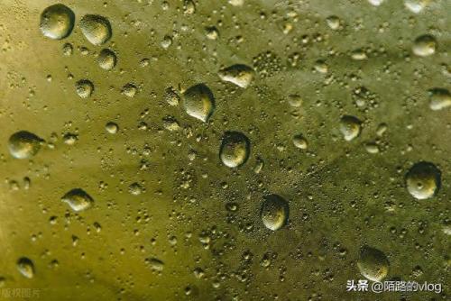 最好防水技术排名前十(专业防水十大品牌排名)插图2