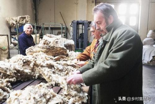 欧洲织布工厂排名前十(欧美织布厂)插图3