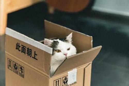 免费领取试用品(免费领取试用品入口)插图2