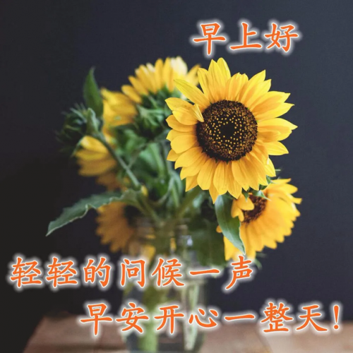 前路漫漫雨纷纷谁在痴痴等(前路漫漫雨纷纷完整版原唱)插图8
