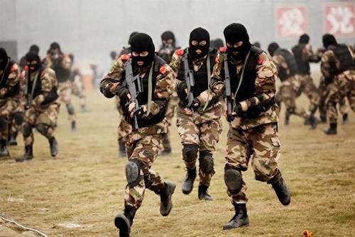 中国特种兵狙击排名前十(特种兵荒岛狙击)插图16
