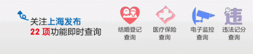 上海板条公司排名前十(上海电子厂排名)插图