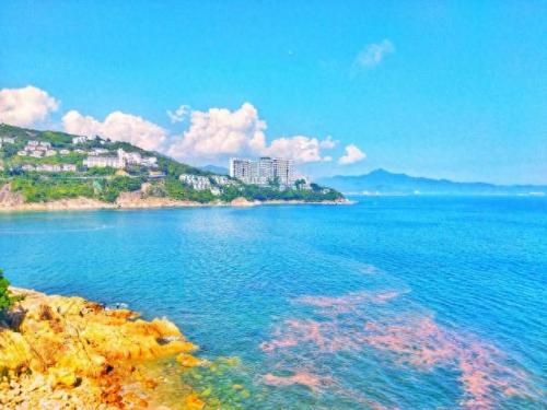 深圳前五景点排名前十(深圳最有名的15个景点)插图