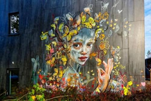 世界涂鸦排名前十(国外最出名涂鸦图片)插图27