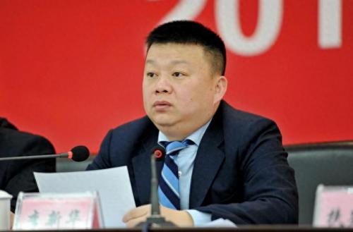 李新华简历(李新华被判多少年)插图8