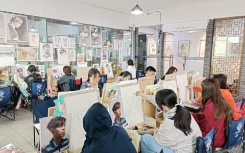 沈阳本地画室排名前十(沈阳白塔岭画室出了什么事)