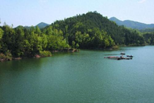 广陵区宠物医院排名前十(广陵宠物医院人气推荐)插图23