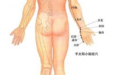 十二经络图解(十二条经络完整版)