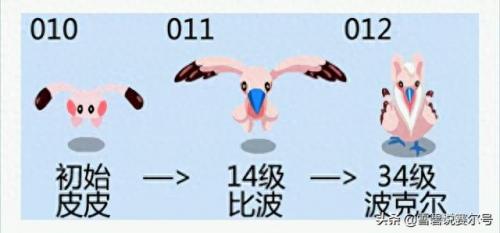 赛尔号闪光波克尔技能表(赛尔号手游闪光波克尔怎么加点)插图