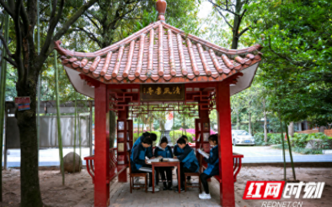 新宁一中(新宁为什么是中国最牛的县)