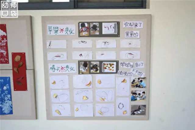 安徽幼儿园环创排名前十(合肥各区幼儿园排名)插图16