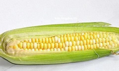糯玉米排名前十(排名第一的糯玉米)插图6