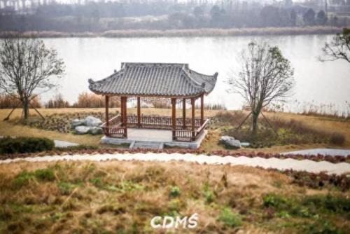 成都十陵镇小吃排名前十(成都十大排名小吃)插图66