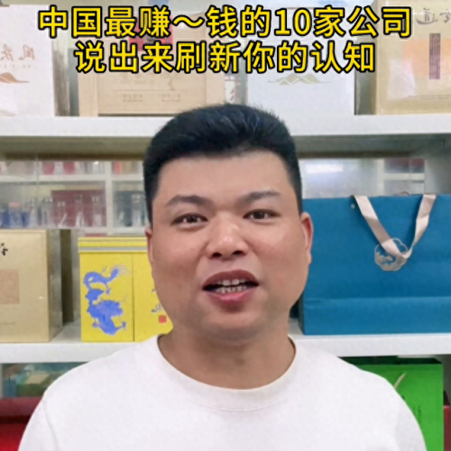 十大最富公司排名前十(世界十大芯片公司)插图