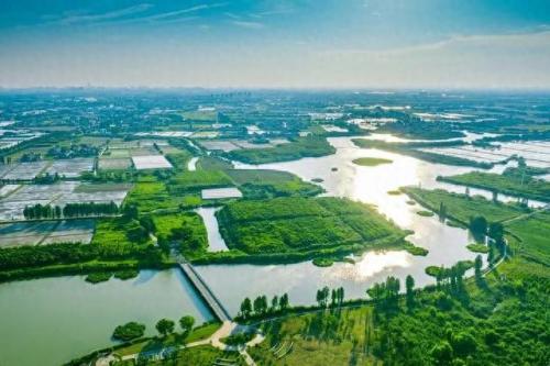 海盐前十企业排名(海宁企业十大排名)插图1
