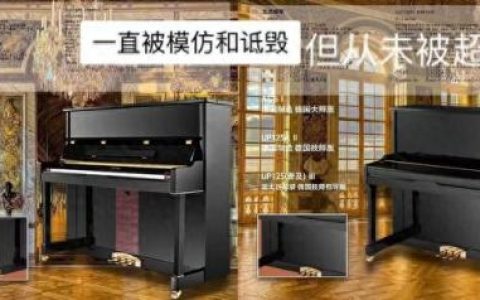 世界十大乐器排名前十(全球最火的十大乐器是)