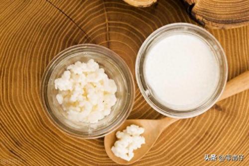 麦片酸奶排名前十(酸奶麦片品牌排行榜前十名)插图7