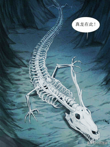 骸骨之爪(骸骨之爪希瓦娜特效语音)插图
