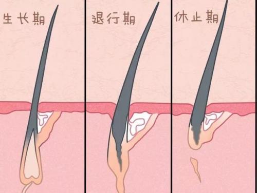 面部永久脱毛方法(家庭最简单的永久脱毛)插图24