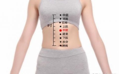 中脘的准确位置图(中脘穴的功效与作用)
