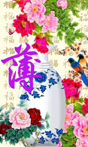 百家姓qq头像(百家姓头像大全真实图)插图59