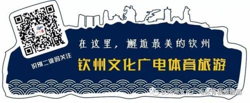 钦州艺术机构排名前十(钦州最好的高中排名)插图13