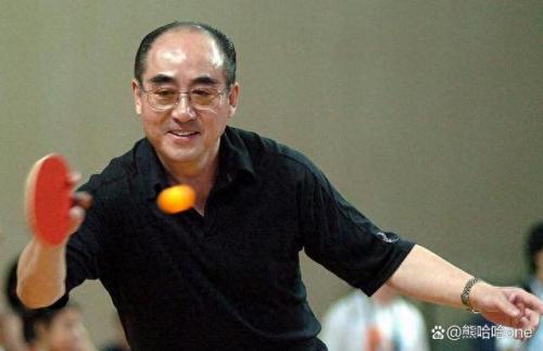 乒乓球选手大满贯排名前十(乒乓球各大满贯选手集锦)插图1