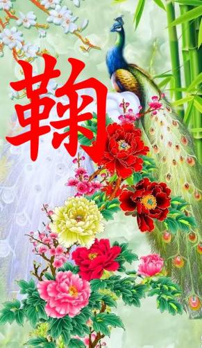 百家姓qq头像(百家姓头像大全真实图)插图50