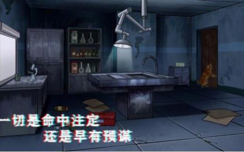 密室与猫常见问题解答(FAQ)(猫与密室进化篇攻略)