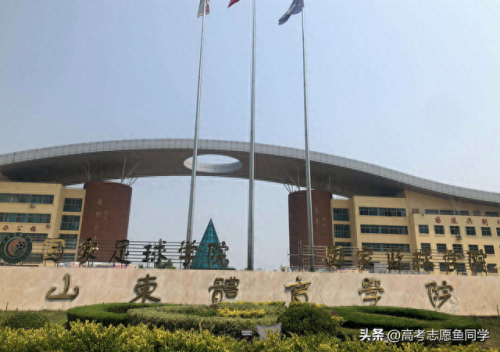 田径运动员专业排名前十(田径之王十大排名)插图4