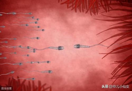 动动广场舞白马王子(动动广场舞火火的姑娘)插图