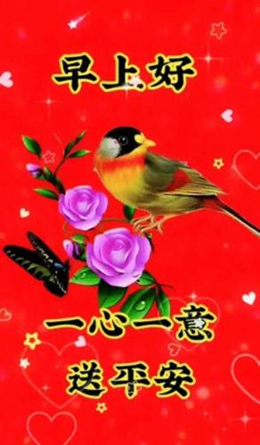 平安顺遂一般送给谁的(平安顺遂图片)插图3