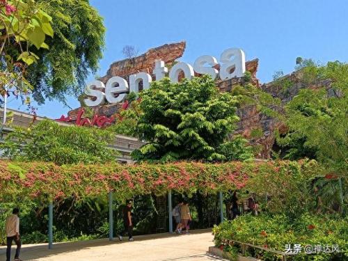 新加坡小山排名前十(新加坡排名前十)插图27