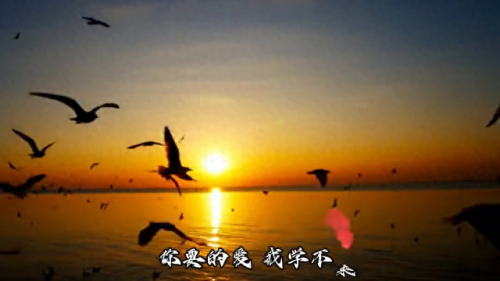 手放开链接(伤感图片手放开)插图1