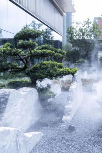 江门美学设计排名前十(拾月美学设计)插图20
