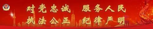 平安 好声音(平安参加中国好声音第一季)插图