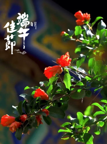 端午节小学古诗词(小学端午节习俗的古诗)插图11