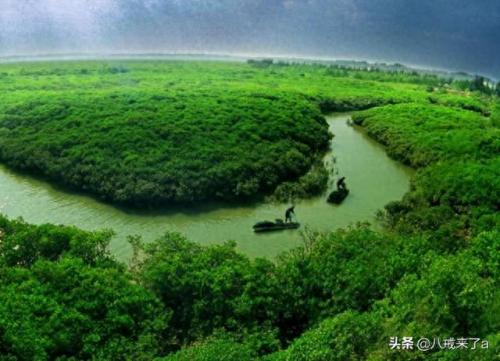廉江旅游景点排名榜前十(廉江最差的五个镇)插图2