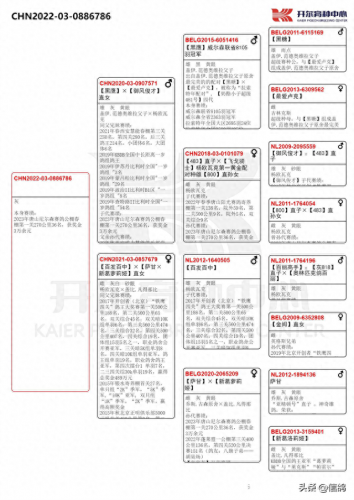 尼尔森赛鸽公棚春棚(尼尔森赛鸽公棚)插图1