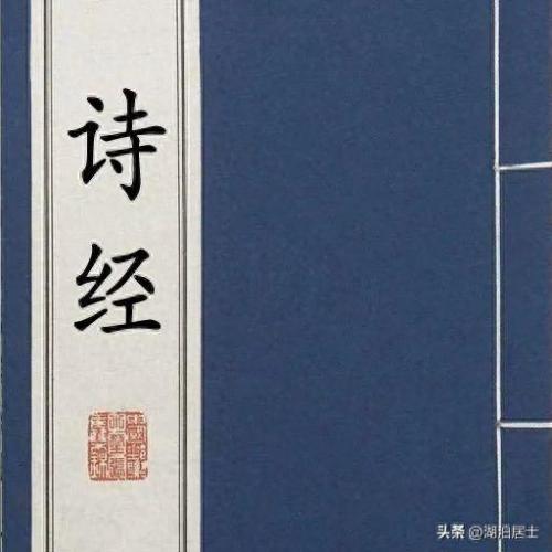 有情有趣全集(网剧有情有趣免费)插图1
