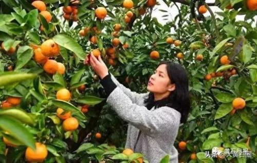 黄石新零售软件排名前十(窗帘批发零售管理软件)插图1
